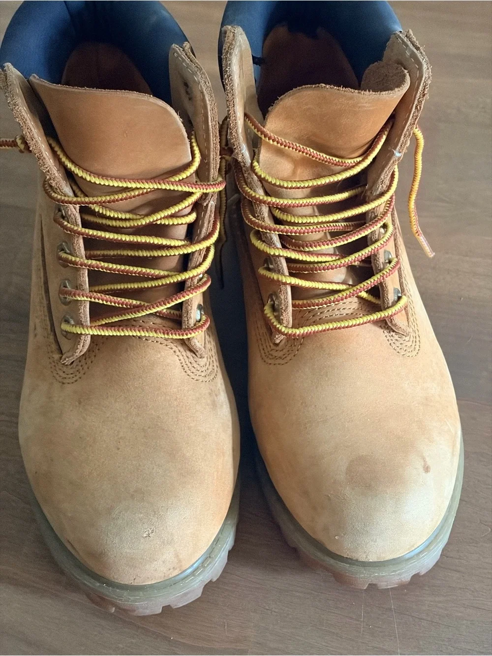 Classic Timberland 6-Inch Waterproof Boots - Wheat / Navy Collar - Size 6
